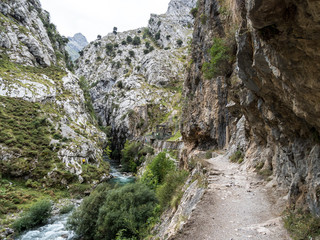 the Cares trail, garganta del cares, in the Picos de Europa Mountains, Spain