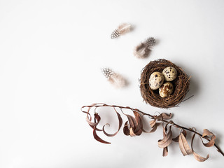 Easter creative composition from Nest, Quail eggs, feathers and branch of tree on a white background. Top view