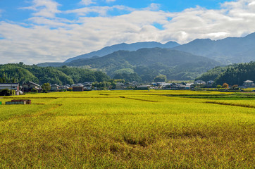 奈良県の明日香村