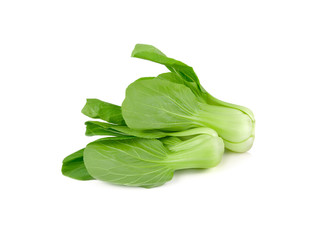 fresh baby bok choy or chinese cabbage on white background