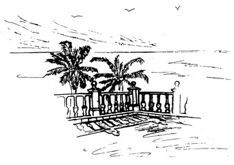  coast,promenade,palm trees and a sketch made with a pencil.flat black and white design.
