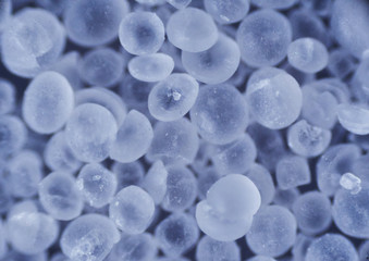 Microscopic photo of different structures of tissues and plant-biological surfaces