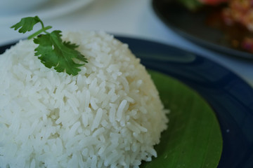 Thai food, white cooked rice above banana leaf on dish