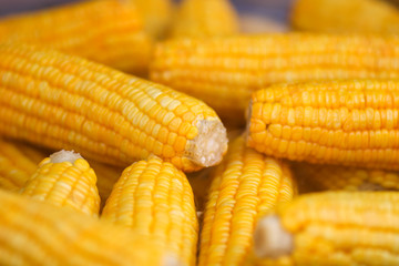 Steamed sweet yellow corns in market