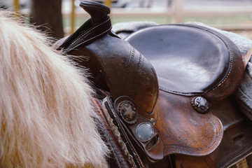 Saddle stirrups on back horse.