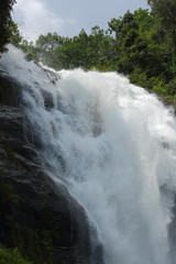 waterfall in nature forest, beautiful landscape