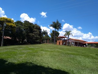 green lawn