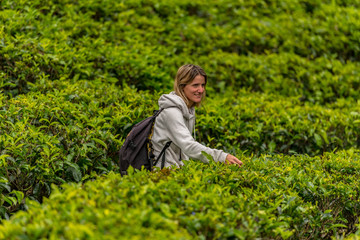 Haputale, Sri Lanka - november 23, 2019: Blonde young woman in Tea Factory in tea plantation near...