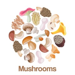 Obraz na płótnie Canvas Mushrooms edible vegeterian mushrooming poster vector illustration circle composition. Cartoon champignon and boletus or forest chanterelle and lobster mushrooms patterned circle poster.