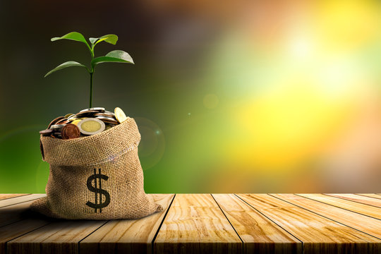 Green Sprout On Stack Of Coins In Sack Bag On Wooden.Savings Money Concept With Nature Background.