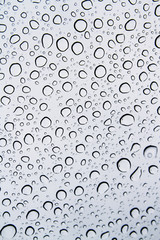 Rain droplet background