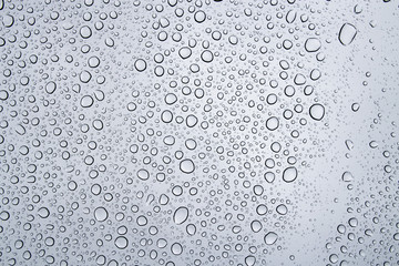 Rain droplet background