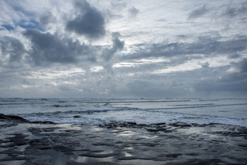 Muriwai Beach coast. Auckland New Zealand. Ocean.