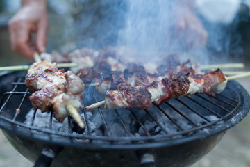 Grill barbecue on wooden sticks