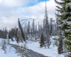 Winter view of the Vermilion River in Kootenay National Park, British Columbia, Canada
