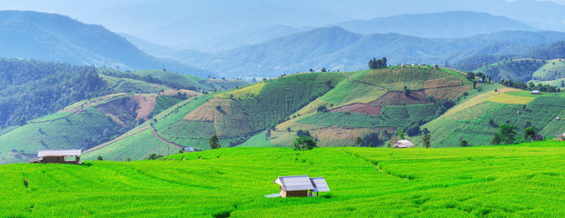 Pa Bong Piang Rice Terraces in Mae Chaem, Chiang Mai, Thailand.