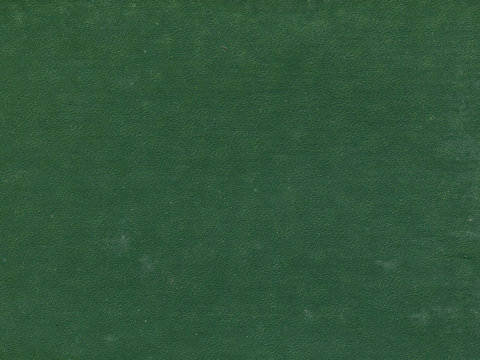 photo texture of matte green paper