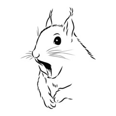 sketch of a squirrel