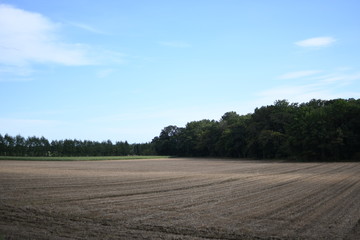 Fototapeta premium 田植え前