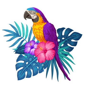 Parrot macaw with tropical plants