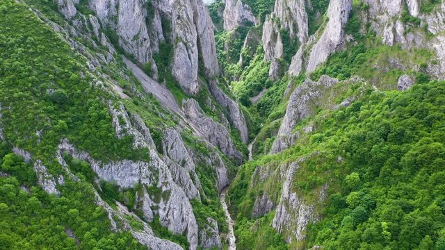 Cheile Turzii gorge, Transylvania, Romania.