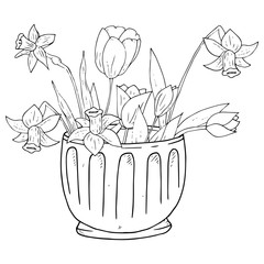 Vase with spring flowers icon. Vector illustration of daffodils and tulips in a vase. Hand drawn spring flowers in a pot.