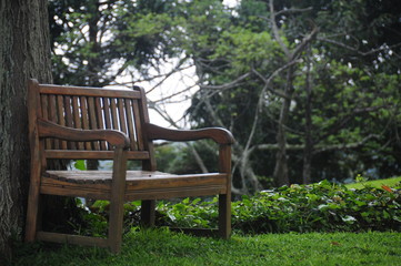 bench in park