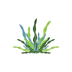 Seaweed logo template vector icon