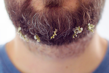 flowers in the beard of a brutal man, close up