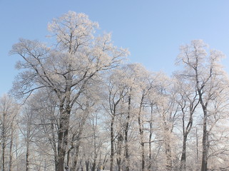 Tsarskoye Selo in the snow
