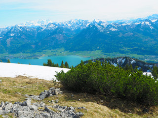 Wandern auf den Schafberg im Frühling