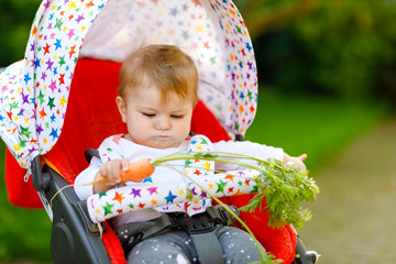 Cute adorable baby girl holding and eating fresh carrot. Beatuiful child having healthy snack. Baby girl sitting in pram or stroller. Little kid of 6 months outdoors, eating vegetables on summer day