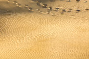 Dunes Africa