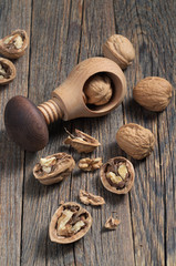 Nutcracker and walnuts