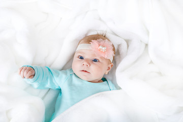 Portrait of cute adorable newborn baby child