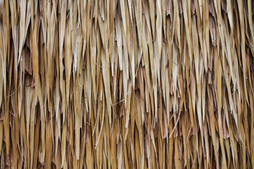 Nipa Palm Wall