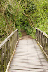 wooden bridge walkway