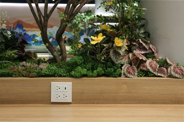 Plug Socket on the Wall with Pastel Background/Flower