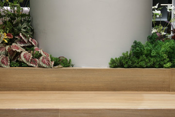 Plug Socket on the Wall with Pastel Background/Flower