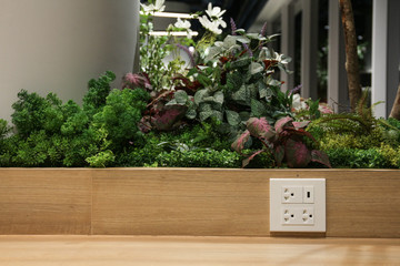 Plug Socket on the Wall with Pastel Background/Flower