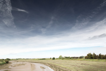 marsh lands landscape in england