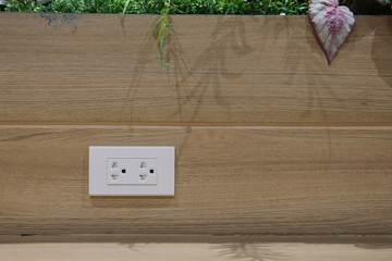 Plug Socket on the Wall with Pastel Background/Flower