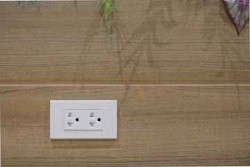 Plug Socket on the Wall with Pastel Background/Flower