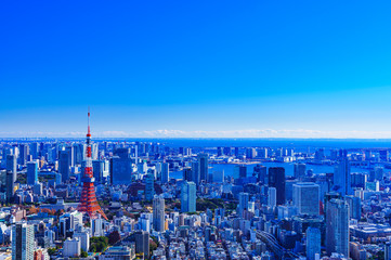 Landscape of Tokyo city high angle in Japan
