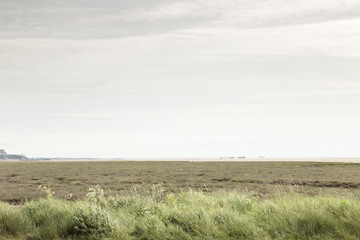 marsh lands landscape in england