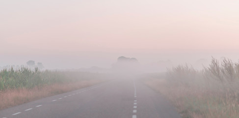 Road in misty rural landscape during spring.