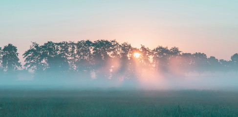Sunbeams through trees in misty rural landscape at sunrise.