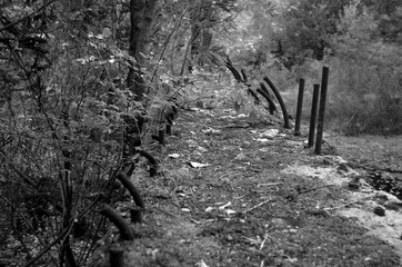 Old tunnel of Stalin. Part of Kiev defense line in WW2 time