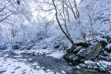 檜原村　龍神の滝付近の雪景色