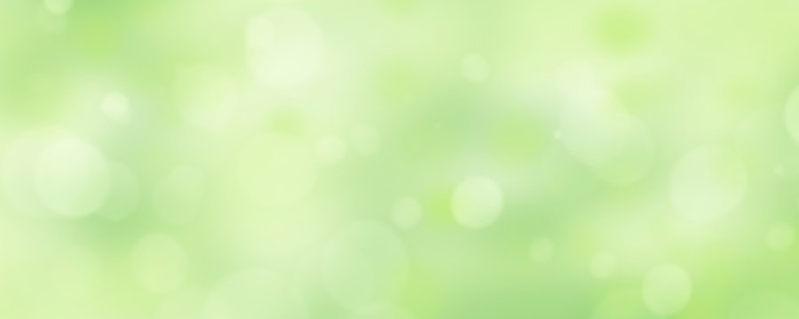 A fresh spring green garden foliage background with blurred bokeh.